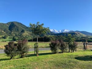 a field with trees and mountains in the background at Alpine Manuka View Cabin in Kaikoura