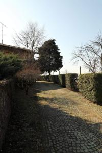um caminho de calçada com arbustos e uma árvore em Viscardo em Tarcento