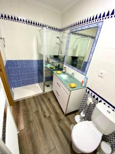 a bathroom with a toilet and a sink and a shower at Plaza De Las Fuentes COMPLETAMENTE REFORMADO in Toledo