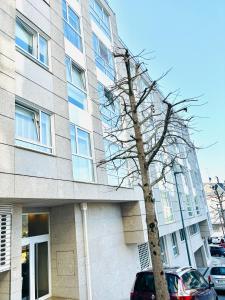 a tree in front of a building at Lula Apartamento in Betanzos