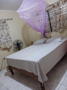 a bed with a net canopy in a room at Tina's Guest House in Ocho Rios