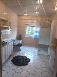 La salle de bains est pourvue d'une douche, de toilettes et d'un lavabo. dans l'établissement Minh, à Pirna