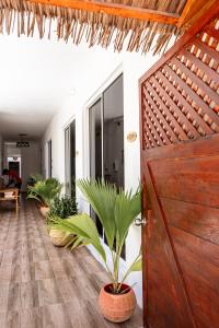 Foto dalla galleria di Holiday Crib a Dhiffushi