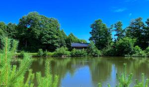 una cabaña en el bosque junto a un lago en 3pokoje - domek pod lasem na odludziu en Susiec