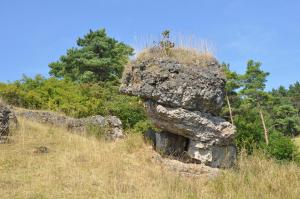 una grande roccia seduta in cima a una collina di Haus Hippelstein a Gönnersdorf