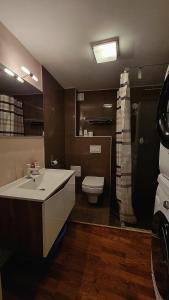 錫比烏的住宿－Real home 1，一间带水槽和卫生间的浴室