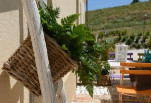 Балкон или терраса в Resort Il Gallo Senone
