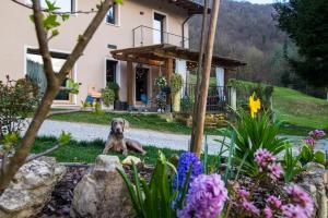 Zahrada ubytování Cascina Canale