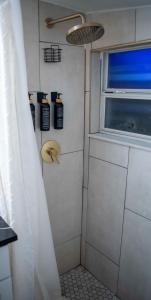 a bathroom with a shower with a window and a banana at New Downtown Tampa Cottage for 4 in Tampa