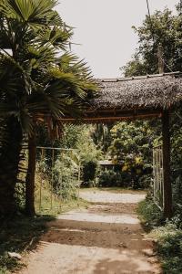an entrance to a garden with a gate and palm trees at Brookline Safari Resort in Udawalawe