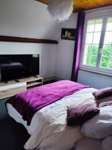 a bedroom with a large bed and a flat screen tv at Chambre spacieuse privée avec Jaccuzi in Talmas