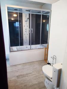 a bathroom with a shower and a toilet at Chambre spacieuse privée avec Jaccuzi in Talmas