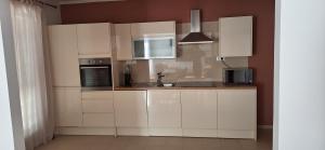 Kuchyňa alebo kuchynka v ubytovaní Apartments Valiza III Large apartment - 3 bedrooms and parking space i Apartments Valiza IV