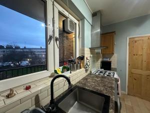une cuisine avec un évier et une fenêtre dans l'établissement Victoria Park R4, à Londres