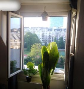 een raam met een potplant in een kamer bij Expo Paris Versailles in Parijs