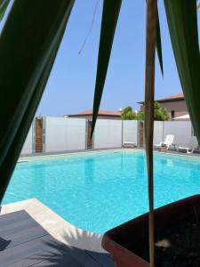 a large blue swimming pool with a palm tree at HIMERA LOFT - Holiday Home and Apartment in Termini Imerese