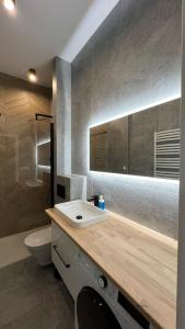 a bathroom with a sink and a toilet at CityCenterApartments/M32/6 in Bielsko-Biała
