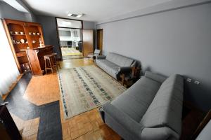 - un salon avec un canapé et un tapis dans l'établissement Apartmani SIMOVIĆ, à Arilje
