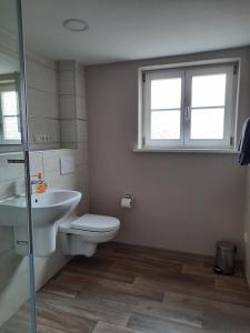 a bathroom with a toilet and a sink and a window at Ferienhof Klemme in Rinteln