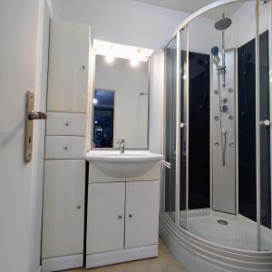a bathroom with a sink and a shower at Coeuilly village parisien Champigny sur Marne in Champigny-sur-Marne