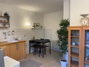 Kuchyň nebo kuchyňský kout v ubytování Ferien- und Messewohnung in Meerbusch