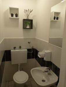 uma casa de banho com um WC e um lavatório em Apartman Vlatka 