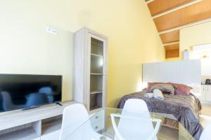 um quarto com uma cama e uma televisão de ecrã plano em Apartamentos Basílica Santa Eulalia PARKING INCLUIDO em Mérida