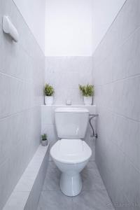 Kúpeľňa v ubytovaní Apartmán Palenica + 30 fotografií