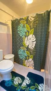 a bathroom with a toilet and a green shower curtain at Bienvenue chez Fare Na’i in Fare