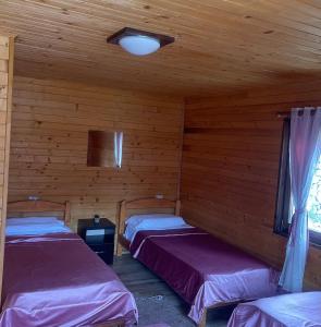 two beds in a room with wooden walls at Thethi Paradise Hotel & Restaurant in Theth