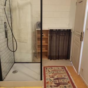 een douche met een glazen deur in een kamer bij Le Jardin De Nicolas in Couret