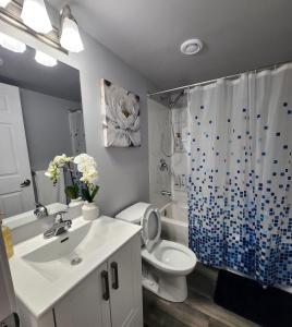 a bathroom with a sink and a toilet and a shower at Entire Basement Suite with Private Entrance in Winnipeg