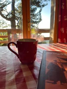 Fotografija v galeriji nastanitve Chalet des Myrtilles - chalet cosy avec vue v mestu Arette