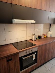 a kitchen with a sink and a stove at Apartment Andjela in Belgrade