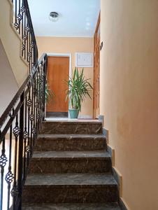 Imagine din galeria proprietății Apartman Sekulić în Sombor