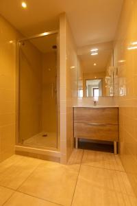 y baño con lavabo y ducha con espejo. en Hôtel Le Coq d'Or en Les Angles