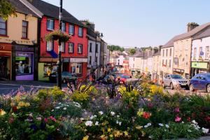 a city street with a bunch of flowers at Gothic Lodge in Boyle