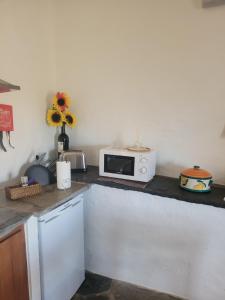 a kitchen with a counter with a microwave on it at Estúdio Tia Anica in Reguengos de Monsaraz