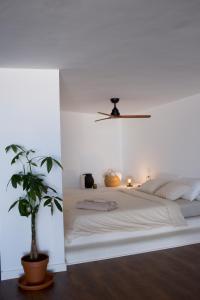 a bedroom with a white bed with a ceiling at La Terraza! Studio Apartment in Puerto de la Cruz