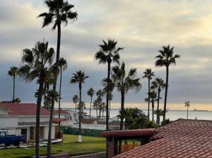 a group of palm trees in front of a house at Beachfront Bungalow Rosarito Beach in Rosarito