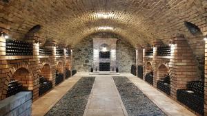 un grand tunnel en briques avec des casiers à vin dans l'établissement Grand Cru 3. Vendégház, à Hegymagas