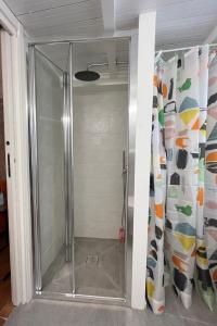 um chuveiro com uma porta de vidro na casa de banho em Il Loft In Piazza 2 em Dolceacqua