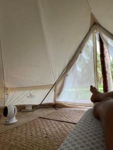 a person laying on a bed looking out of a tent at Glamping Bio-Dorf Cabana 1 in Trairi