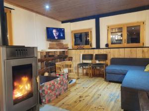 a living room with a couch and a fireplace at Chalet ALOA in Le Bonhomme