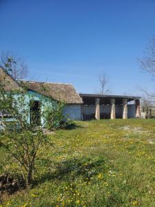una vecchia casa in un campo di fiori di Vojkanov Salas Backa Palanka a Bačka Palanka