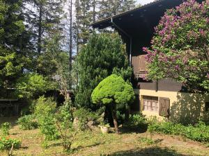 Zahrada ubytování Chalet Mex 15