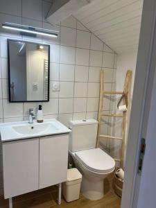 a bathroom with a toilet and a sink and a mirror at Spacieux studio 2 à 3 personnes au pied du Ventoux km Zéro in Bédoin