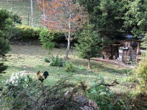 Zahrada ubytování Chalet Mex 15