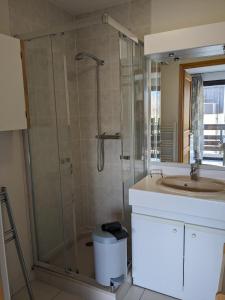 y baño con ducha y lavamanos. en Appartement coquet situé au Plan d eau en Embrun
