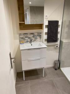 uma pequena casa de banho com um lavatório e um chuveiro em Loft avec vue sur les voiliers em Martigues